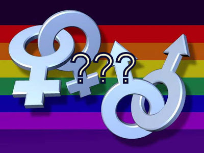 the ultimate gay search rngine free gay movie ownloads